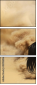 43906966