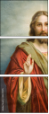 44247495