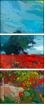 44331491