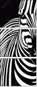 44412640