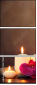 44571063