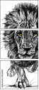 44646006