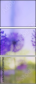 44687067