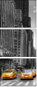 44846834
