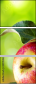 44945564