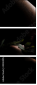 45024953