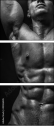 45026445