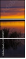 45070477