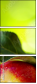 45125222