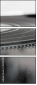 45194495