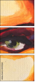 45492260