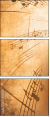 45515921