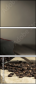 45539882