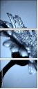 45608102