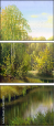 45639970