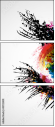 45722401
