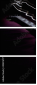 45876779