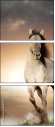 46097266
