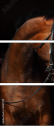 46187059