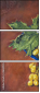 46381145