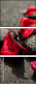 46381163