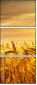 46459823