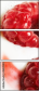 4684594
