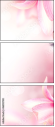 46892780