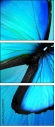 47013557