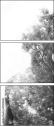47020348