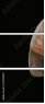 47043429