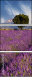 4707314