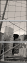 474975916