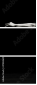 47804605