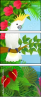 47853986