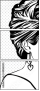 48068245