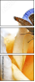 48135566