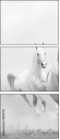 48172721