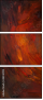48240199