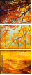 48240215