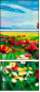 48240226