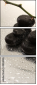 48368424