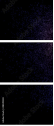 48449228