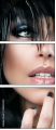 48483342