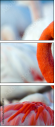 48485872