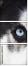 48885993