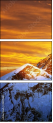 48905885
