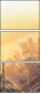 48985440