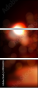 49026303