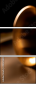 49029894